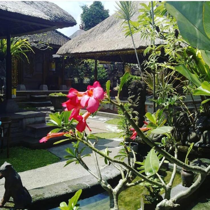 Family Guest House Ubud Eksteriør billede